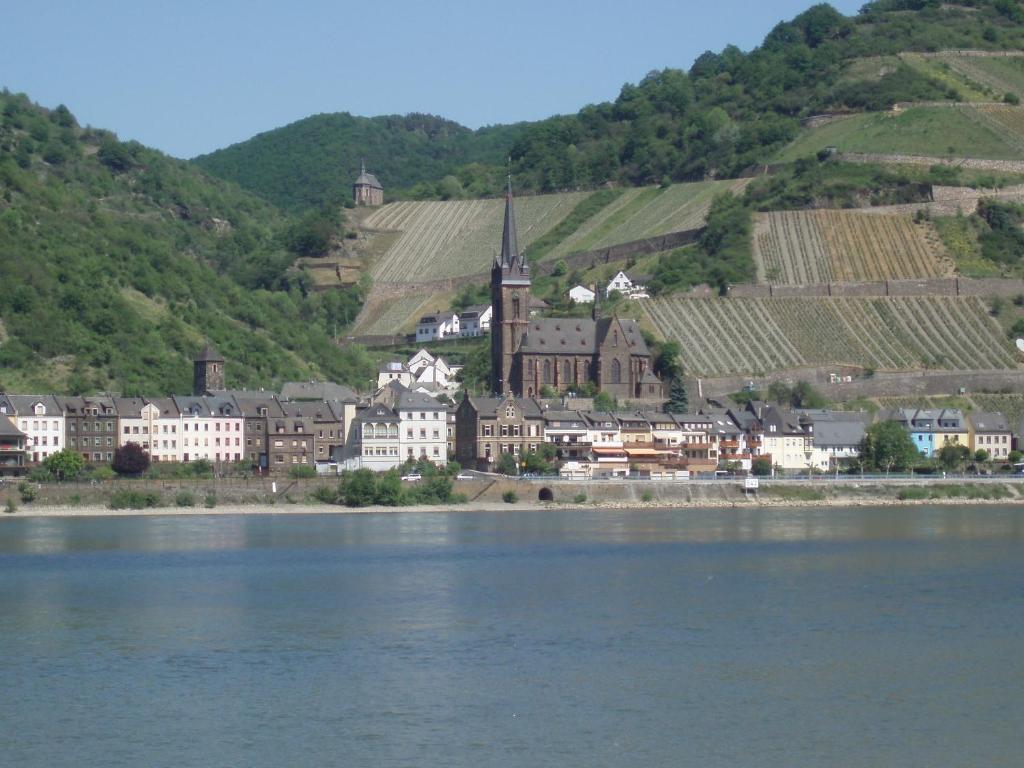 Апартаменти Weingut Theodor Nies Лорх-ам-Райн Екстер'єр фото