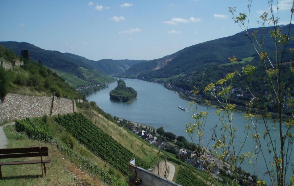 Апартаменти Weingut Theodor Nies Лорх-ам-Райн Екстер'єр фото