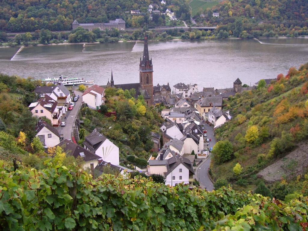 Апартаменти Weingut Theodor Nies Лорх-ам-Райн Екстер'єр фото